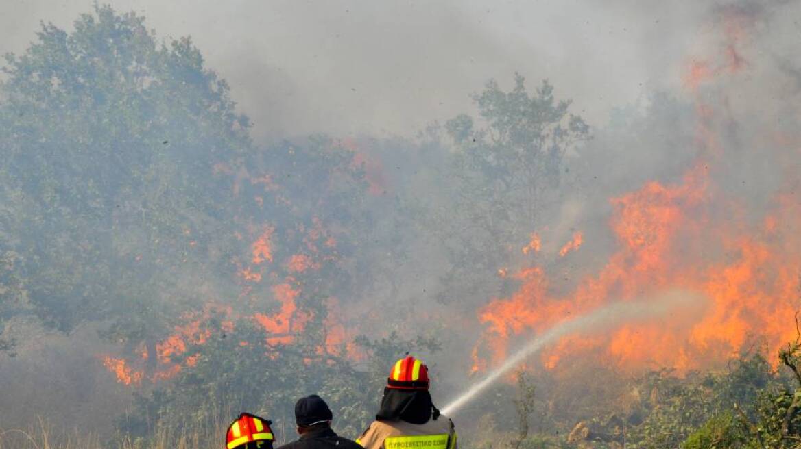 Υπό μερικό έλεγχο η πυρκαγιά στην Ανάβρα Μαγνησίας